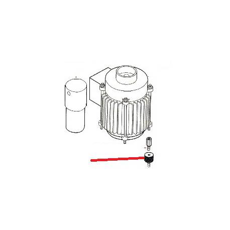 GOMMA - NFQ60659