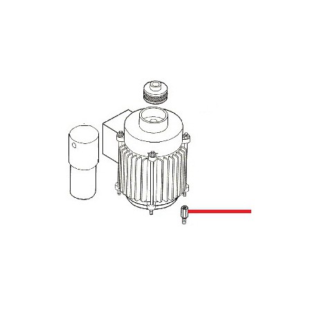 MOTEUR MOULIN 230V ORIGINE ASTORIA - NFQ63875