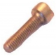 EV stainless steel SCREW 4X16MM GENUINE - NFQ78015