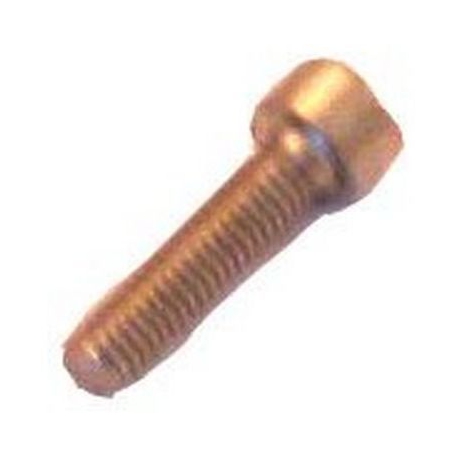 EV stainless steel SCREW 4X16MM GENUINE - NFQ78015