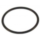 ASTORIA VITON GASKET ORIGINAL