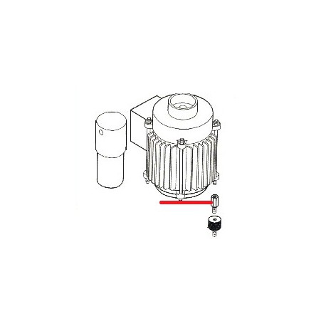 HOLDER COFFEE MACHINE 2GR - NFQ70964557