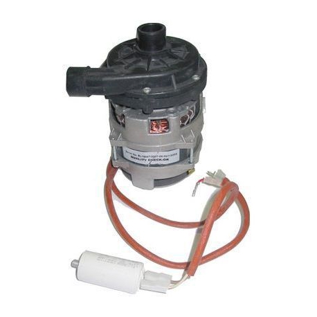 ELECTRICAL PUMP FOR GEMINI PASSPORT PROGRAM25 0.33HP 230V 50 - NEQ695