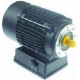 MOTORE A PIZZA 400V TRI P40/50 - TIQ70995