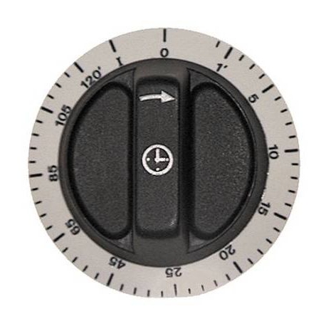 PALANCA ROTATIVO 72MM TEMPORIZADO 120MIN - TIQ7377
