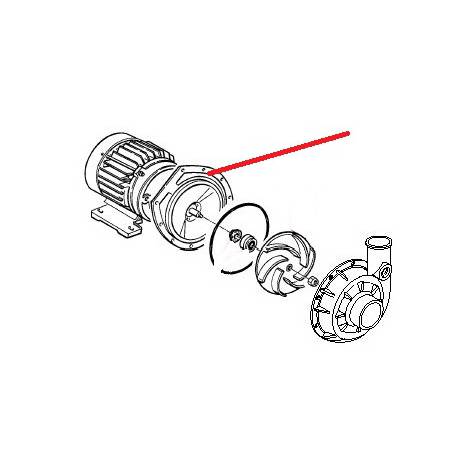 ELECTROPOMPE 1.2HP 220/380V ORIGINE CIMBALI - PVYQ13