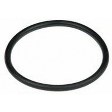O RING - PEQ109