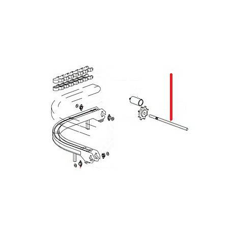 ASSE PAZZO DI CATENA - QUQ6736