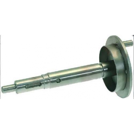 ALBERO CAMME - QUQ6743