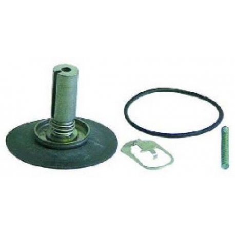 CONJUNTO PIEZAS PARA ELECTROVALVULA GVD4562 - TIQ9164