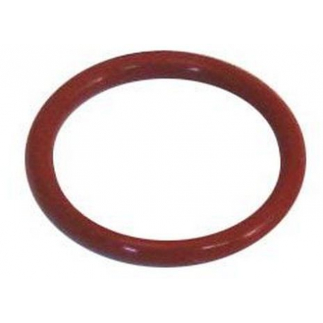 PISTON FILTER GASKET - RF0000