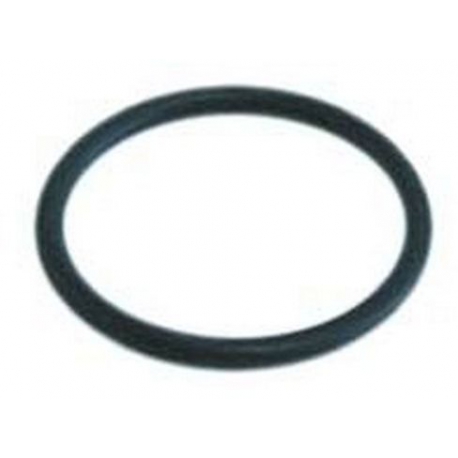 O-RING EPDM 31Ã˜ - TIQ2731