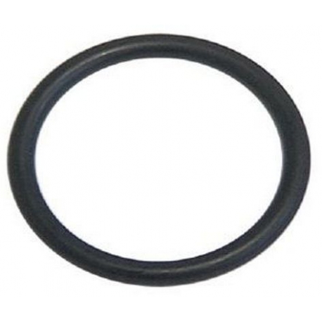 RESISTANCE O-RING - PQQ68