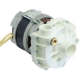 MOTORE POMPA 0.75HP/230V/4A/ CON USCITA DOSATORE. - PEQ827