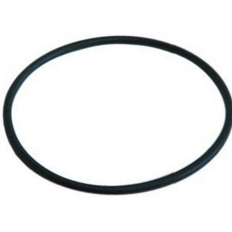 OR GASKET - QUQ395
