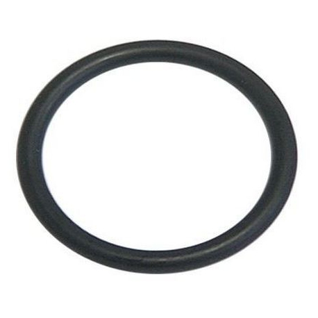 DICHTUNG TORIC Ã­INT:47MM EPDM DICKE 5.34MM - RQ235