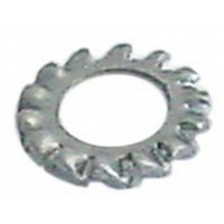 SCHEIBE - TIQ67938