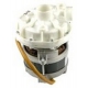 MOTORES BOMBAS 3/4CV 3000/600