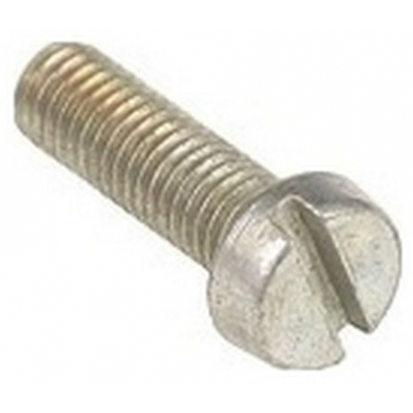 SCREW - YQ79
