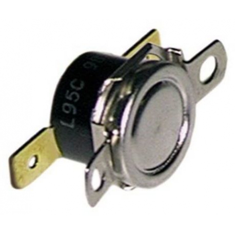 THERMOSTAT 95Â°C - TIQ297