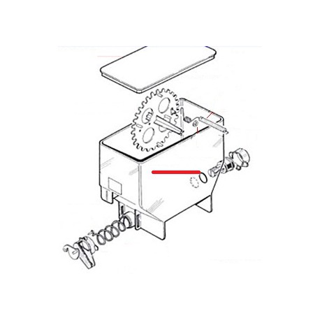 GASKET TORIC 123 LIONESS