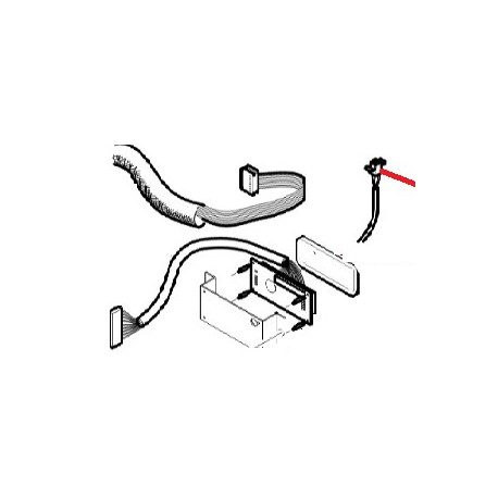 CORDONE PORTIERA 24V PEGASO - 77660067