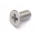 STAINLESS STEEL TSP SCREW 3X6