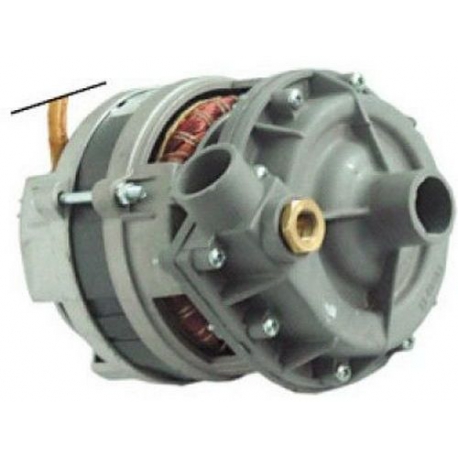 PUMP 0.3HP CF11/103/DSF11/103 230V - TIQ60381