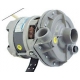 ELECTRICAL PUMP FIR 3983 WINTERHALTER 0.5HP 230V 50HZ INPUT