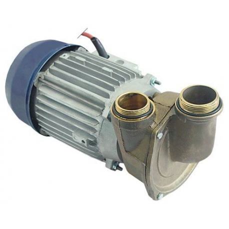 PUMP 1HP 220V - TIQ61898