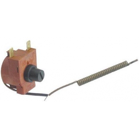THERMOSTAT TMAXI 122Â°C CAPILAIRE 870MM BULBE:77MM Ã­BULBE 6MM - TIQ61951