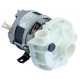 POMPE 0.75HP 230V FIR3911 ORIG - TIQ61985
