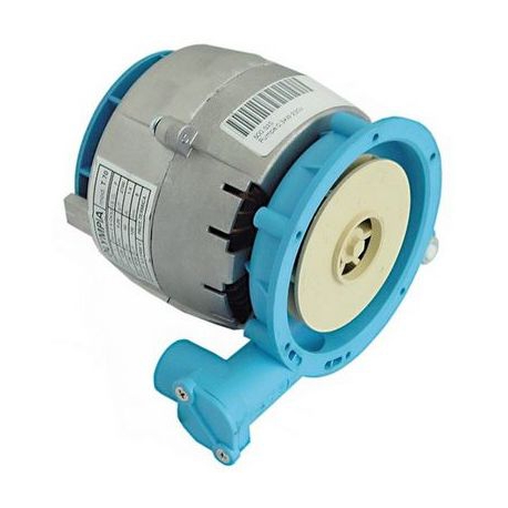 ELECTROPOMPE OLYMPIA T.70 250W 0.35HP 230V 50HZ 1.4A - TIQ61039