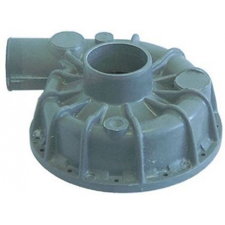 COCKLE - TIQ61246