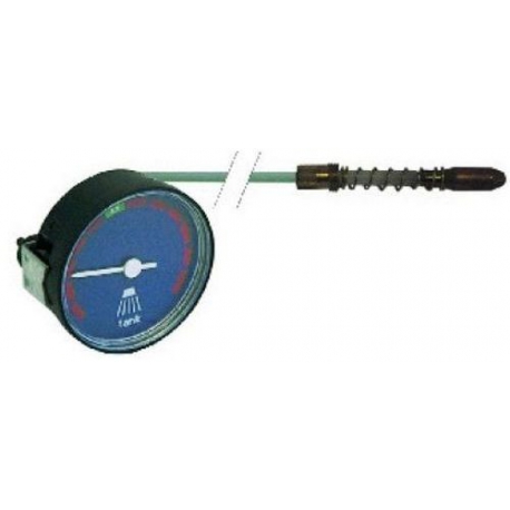 THERMOMETRE Ã­60MM TMINI 0Â°C TMAXI 55Â°C CAPILLAIRE 2500MM - TIQ61436