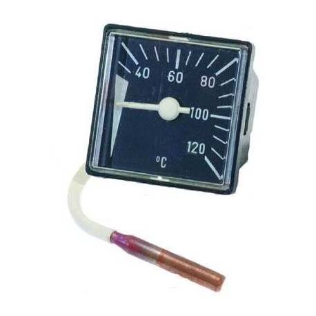 THERMOMETRE 0-120Ã˜ 48X48MM - MNQ958