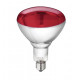 LAMP INCANDESCENTE ROT 250W E27 230-250V L:173MM L:125MM