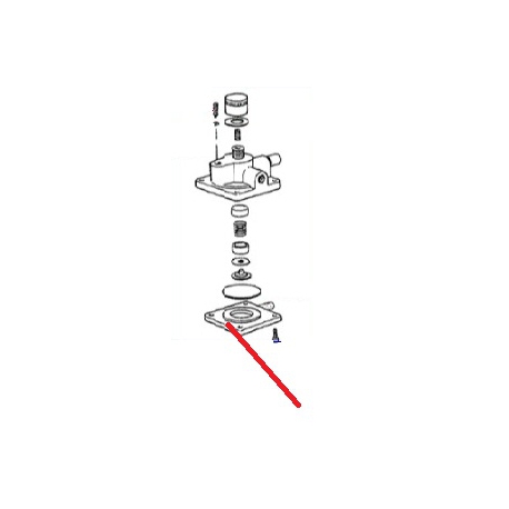 GASKET TORIC GENUINE CIMBALI