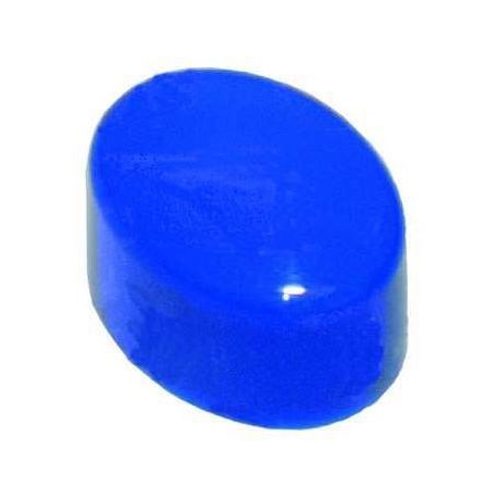 BOUTON OVALE BLEU ORIGINE - TIQ100027
