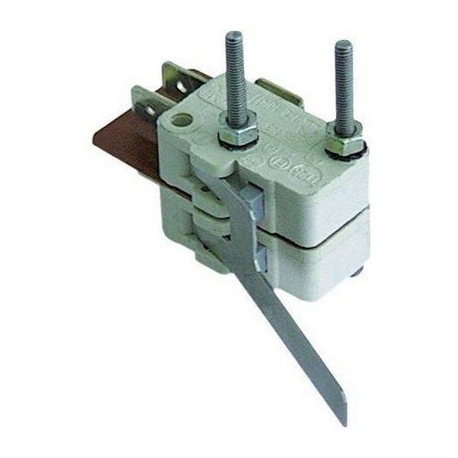 MICRO-SWITCH OF DOOR 250V 16A - TIQ8910