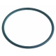GUARNIZIONE O RING OR3200