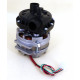 ELECTROPOMPE 220W 0.30HP 230V 50HZ 1.5A ENTREE 30MM SORTIE 31MM 10æF 2800T/M