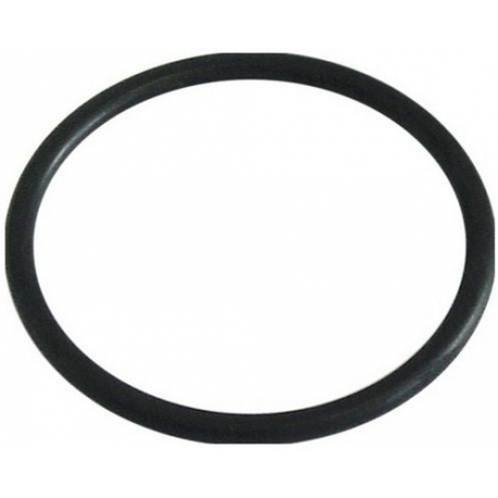 SALT STOPPER GASKET - FYQ93