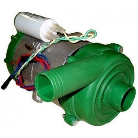 PUMP HP0.33 220V 1 EXIT - JQ3798