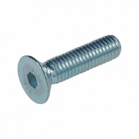 VITE M6X12 INOX TESTA Ã˜4MM DA 20P - TIQ3499