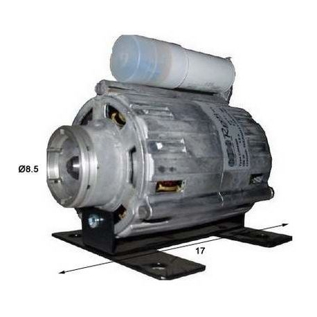 MOTEUR COMPACT 100W/220V - FZQ655