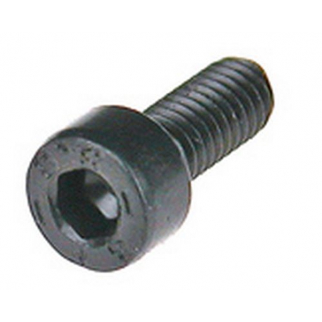 SCREW OF SOLENOID STAINLESS M4X10 - IQ657