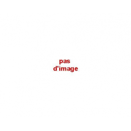 ENTREE DE RAMPE 3/8 TYPE REAH. - IQN19