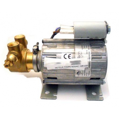 MOTEUR POMPE COMPLET MOZAIC 1GR MOZAIC 230V ORIGINE RENEKA - ERQ6315