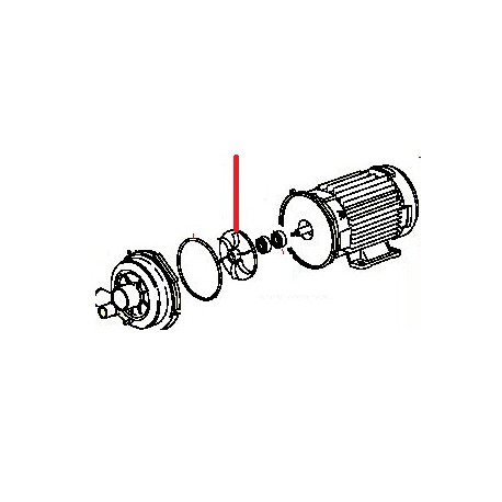 ROTOR PUMPE - QUQ6932